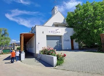 hungary/veszprem/attraction/lavender-tihany-latvanymuhely-levendula-leparlo-latvanyuzem