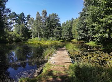 sweden/kosterhavet-national-park/attraction/rock-carvings-in-tanum