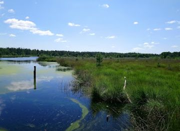 netherlands/drenthe/attraction/drents-friese-wold