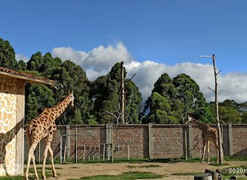 ecuador/loja/attraction/loja-zoo