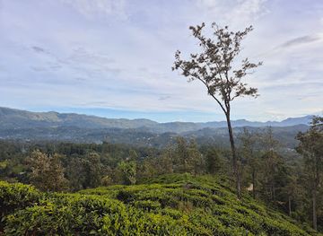 sri-lanka/uva-province/attraction/bostock-s-chair