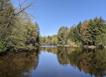 wisconsin/glacial-lake-wisconsin/attraction/brunet-island-state-park