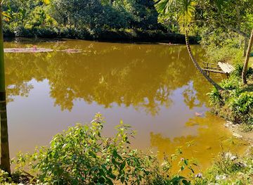 bangladesh/ratargul-swamp-forest/attraction/agun-pahar