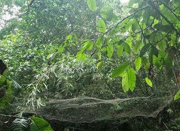 fiji/beqa-island/attraction/waterfall-medium-hike-great-for-a-swim