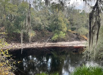 florida/suwannee-river/attraction/mother-tree-treehouse