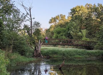 iowa/ottumwa/attraction/lake-wapello-state-park