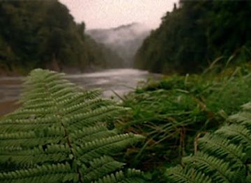 new-zealand/manawatu-wanganui/attraction/whanganui-maori-regional-tourism-organisation-wmrto