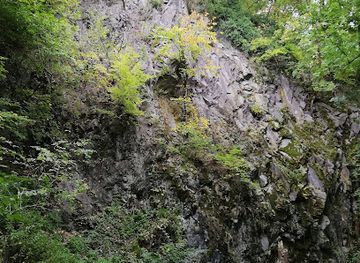 hungary/pilis-mountains/attraction/kofolyas