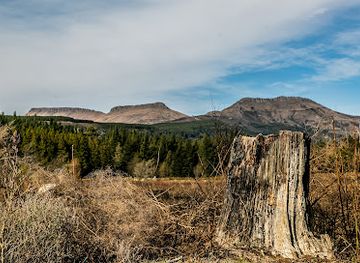 south-africa/amatola-mountains/attraction/arboretum-hogsback