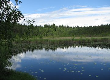 sweden/narke/attraction/skiren-kvicken