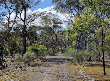 australia/northern-victoria/attraction/eynesbury-grey-box-forest