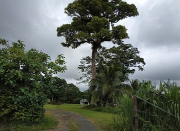 samoa/va-a-o-fonoti/attraction/malololelei-recreation-reserve