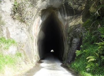 new-zealand/taranaki/attraction/tangahoe-tunnel