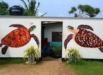 sri-lanka/hikkaduwa/attraction/sea-turtle-farm-hatchery-koggala