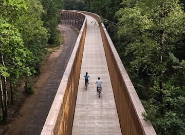 belgium/campine-kempen/attraction/fietsen-door-de-heide