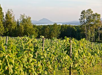 canada/eastern-townships/attraction/au-vignoble-d-orford