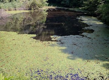 ohio/wayne-national-forest/attraction/boch-hollow-state-nature-preserve-office