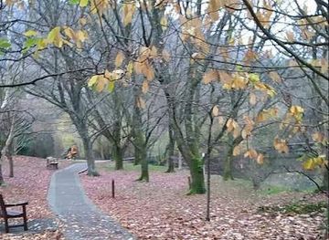 isle-of-man/ballasalla/attraction/tynwald-national-park-and-arboretum