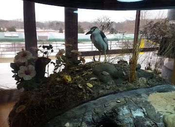 new-york/the-hamptons/attraction/south-fork-natural-history-museum-nature-center
