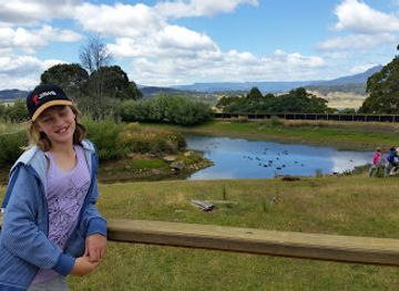 australia/tasmania/attraction/trowunna-wildlife-sanctuary