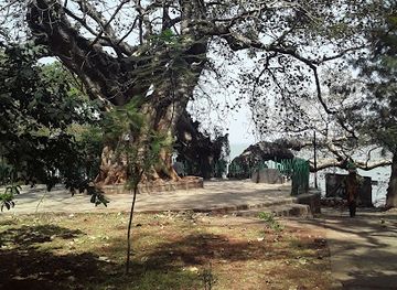 ethiopia/bahir-dar/attraction/bingow