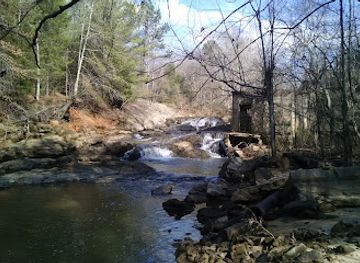 alabama/tuskegee-national-forest/attraction/lake-wilmore-trail