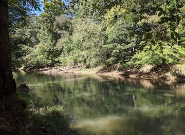 tennessee/west-tennessee/attraction/big-cypress-tree-state-park