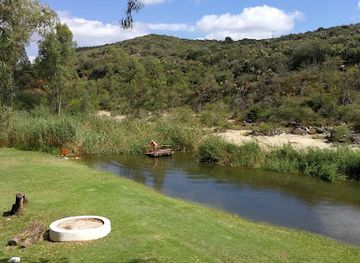 south-africa/eastern-cape/attraction/adrenalin-addo-adventure-park