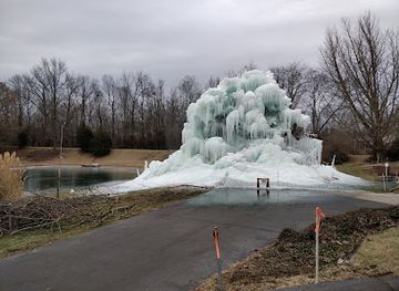 indiana/indianapolis/attraction/veal-s-ice-tree