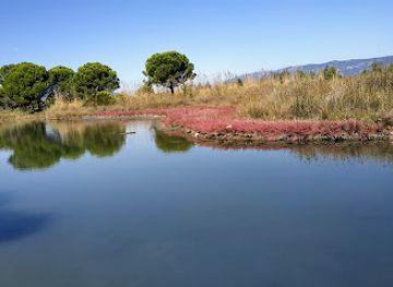 albania/rrogozhina-region/attraction/kune-vain-tale-reserve