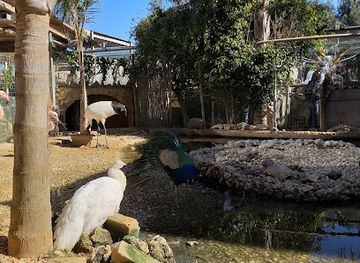 malta/northern-region/attraction/wildlife-park-malta