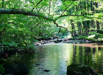 connecticut/stamford/attraction/mianus-river-park