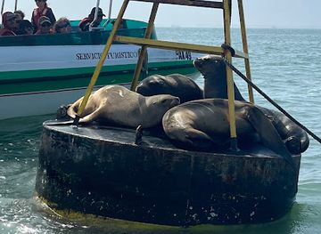 peru/paracas-national-reserve/attraction/buoy