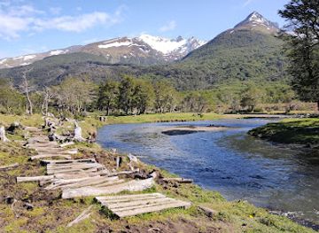 argentina/tierra-del-fuego-national-park/attraction/glaciar-vinciguerra