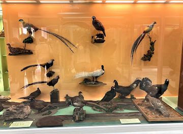 greece/attica/attraction/natural-history-museum-of-marousi-municipality