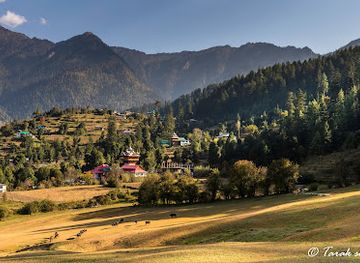india/himachal-pradesh/attraction/sainj-valley