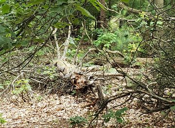 michigan/holland-state-park/attraction/kuker-van-til-nature-preserve