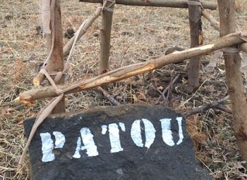 madagascar/antsiranana/attraction/baobab-patou-adansonia-suarezensis