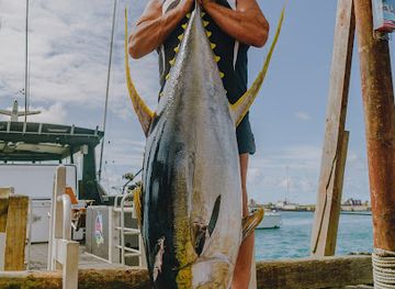 cook-islands/rarotonga/attraction/game-fishing-rarotonga