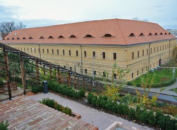 czechia/hradec-kralove/attraction/zpivajici-stromy