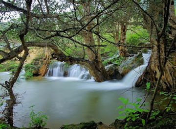 oman/salalah/attraction/the-bridge-tours-llc