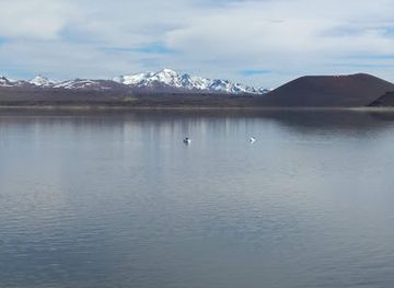argentina/gran-chaco/attraction/laguna-blanca-national-park