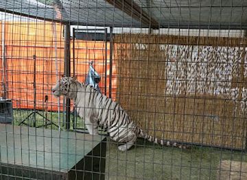 minnesota/brainerd-lakes-area/attraction/crow-wing-county-fair