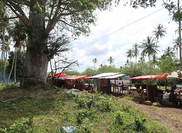 tanzania/zanzibar-island/attraction/jozani-chwaka-bay-national-park