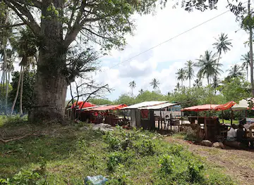 Jozani-Chwaka Bay National Park