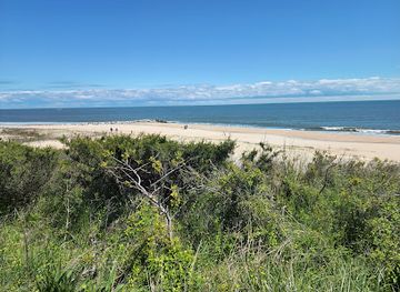 Cape Henlopen State Park