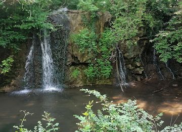 missouri/ozarks/attraction/dickerson-park-zoo