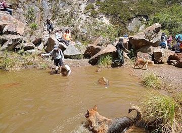 colombia/bogota/attraction/paramo-cruz-verde