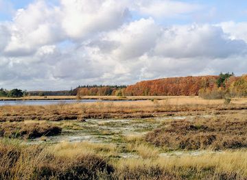 netherlands/drenthe/attraction/meindersveen