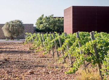 spain/palma-de-mallorca/attraction/celler-tianna-negre